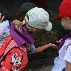 Wycieczka do ZOO w Chorzowie