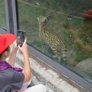 Wycieczka do ZOO w Chorzowie