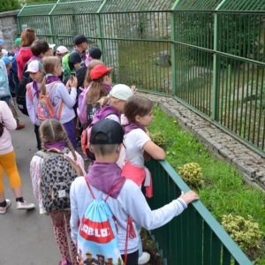 Wycieczka do ZOO w Chorzowie