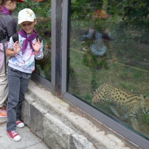 Wycieczka do ZOO w Chorzowie
