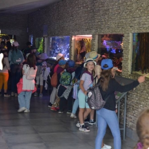 Wycieczka do ZOO w Chorzowie