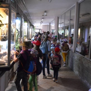 Wycieczka do ZOO w Chorzowie