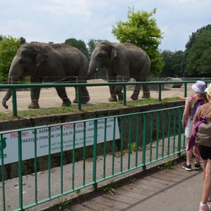 Wycieczka do ZOO w Chorzowie