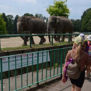 Wycieczka do ZOO w Chorzowie
