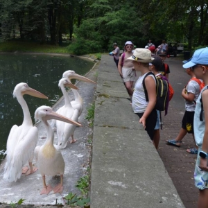 Wycieczka do ZOO w Chorzowie
