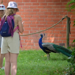 Wycieczka do ZOO w Chorzowie