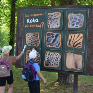 Wycieczka do ZOO w Chorzowie