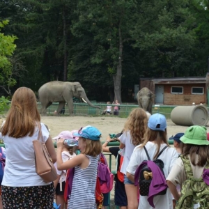 Wycieczka do ZOO w Chorzowie