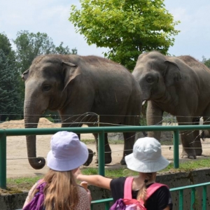 Wycieczka do ZOO w Chorzowie