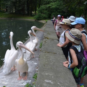 Wycieczka do ZOO w Chorzowie