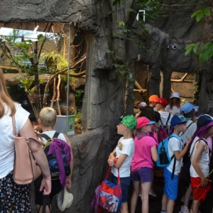 Wycieczka do ZOO w Chorzowie