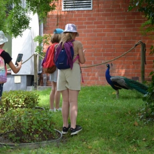 Wycieczka do ZOO w Chorzowie