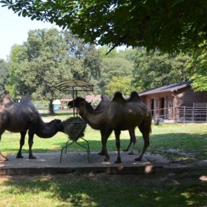 Wycieczka do ZOO w Chorzowie