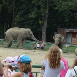 Wycieczka do ZOO w Chorzowie