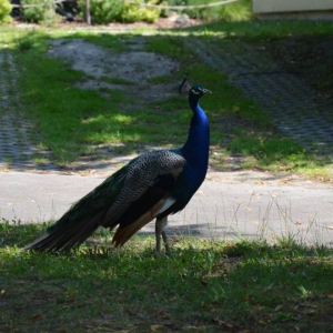 Wycieczka do ZOO w Chorzowie