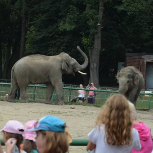 Wycieczka do ZOO w Chorzowie