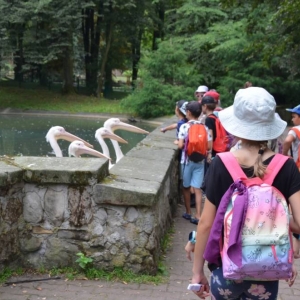 Wycieczka do ZOO w Chorzowie