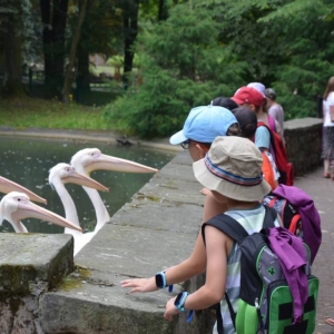 Wycieczka do ZOO w Chorzowie