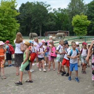 Wycieczka do ZOO w Chorzowie
