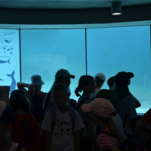 Wycieczka do ZOO w Chorzowie