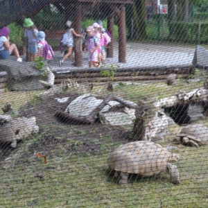 Wycieczka do ZOO w Chorzowie