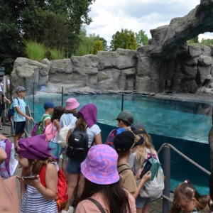 Wycieczka do ZOO w Chorzowie