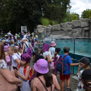 Wycieczka do ZOO w Chorzowie