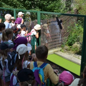 Wycieczka do ZOO w Chorzowie