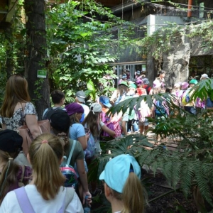 Wycieczka do ZOO w Chorzowie