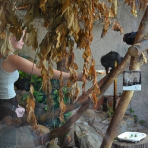 Wycieczka do ZOO w Chorzowie