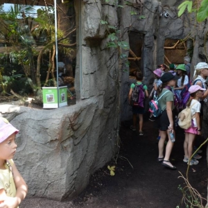 Wycieczka do ZOO w Chorzowie