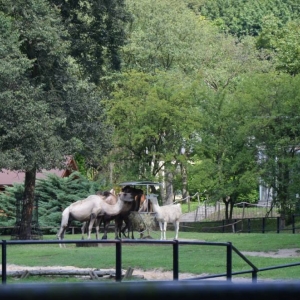 Wycieczka do ZOO w Chorzowie