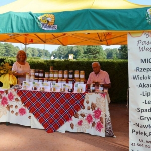 Stoiska podczas imprezy plenerowej Pożegnanie wakacji
