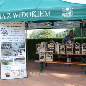Stoiska podczas imprezy plenerowej Pożegnanie wakacji