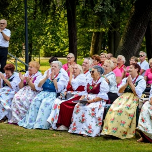 Publiczność dożynek