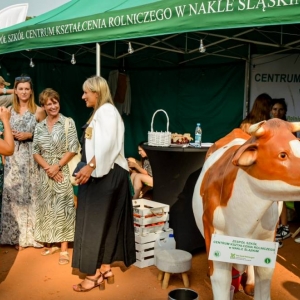 Stoisko z rękodziełem