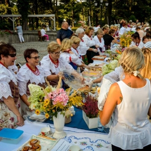 Impreza towarzysząca Gyburstag Kołoca