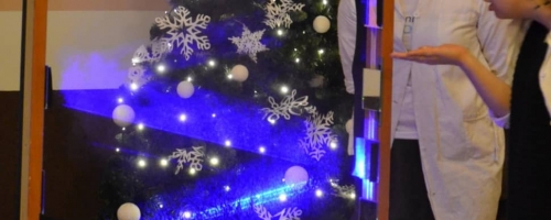I turnus