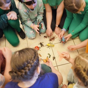 IV dzień zimowiska. Leśne ciekawostki. Gościmy leśnika z Nadleśnictwa Świerklaniec. Praca plastyczna - Magiczny Las.