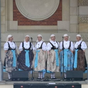 Koncert w amfiteatrze świerklanieckiego parku Oldbojów Zespołu Pieśni i Tańca Mały Śląsk