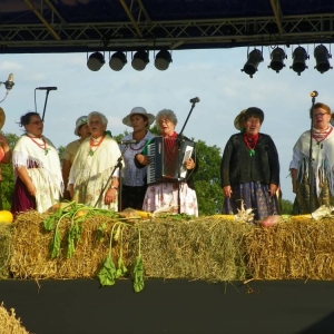 Dożynki 2011 rok
