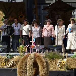 Dożynki 2013 rok
