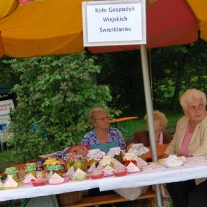 Impresje kulturalne w świerklanieckim parku 2010 rok