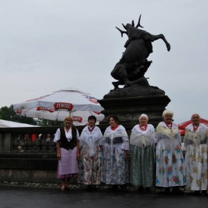 Impresje kulturalne w świerklanieckim parku 2010 rok