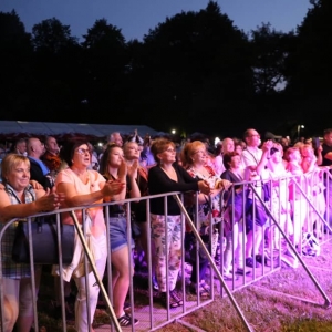 Zdjęcie przedstawia publiczność podczas występów artystycznych VI Dni Gminy Świerklaniec