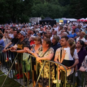 Zdjęcie przedstawia publiczność podczas występów artystycznych VI Dni Gminy Świerklaniec