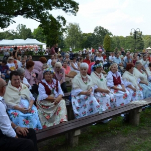 Zdjęcie przedstawia publiczność biorącą udział w dożynkach