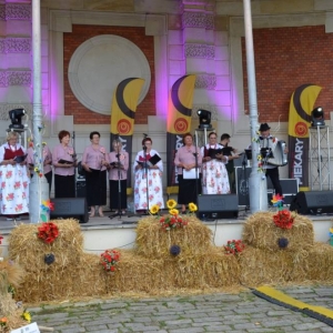 Zdjęcie przedstawia koncert zespołu Kwiaty Jesieni