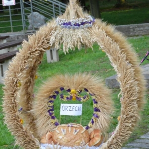 Wieniec dożynkowy