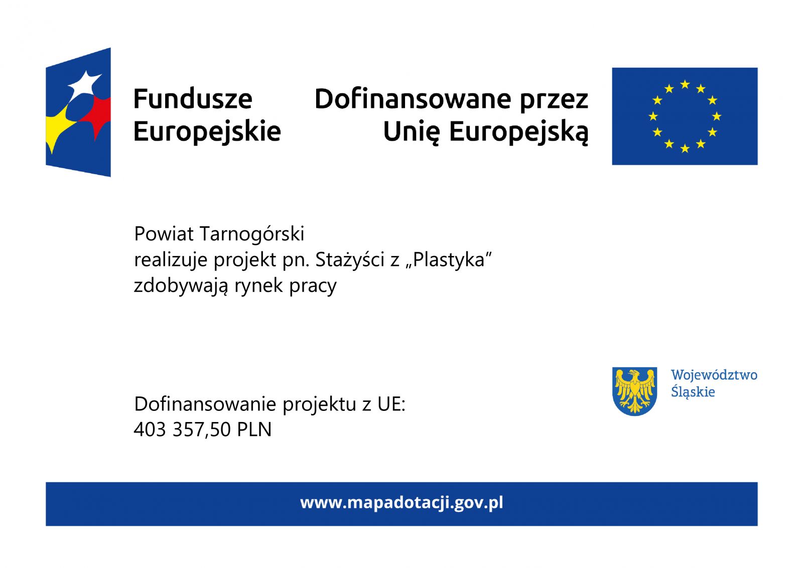Plakat projektu pn. Stażyści z Plastyka zdobywają rynek pracy